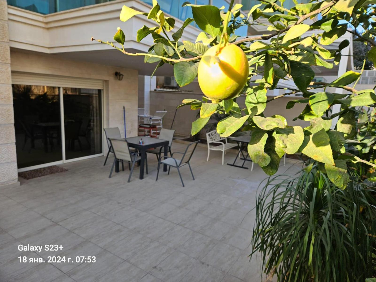 Milana'S Deluxe With Big Patio And Pool Leilighet Eilat Eksteriør bilde